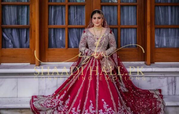 Wassan Wedding Gallery 6