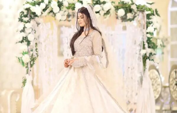 Usman Zai Wedding Gallery 4