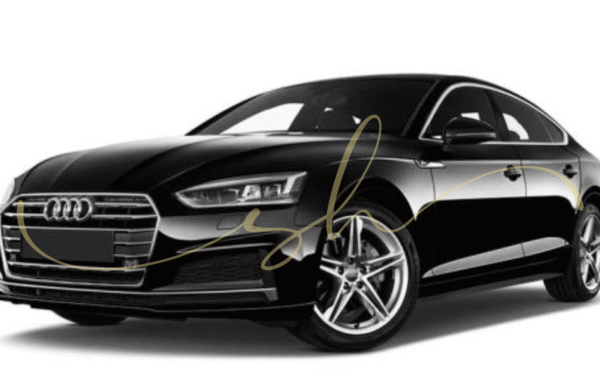 Dreamz Carz Gallery 8