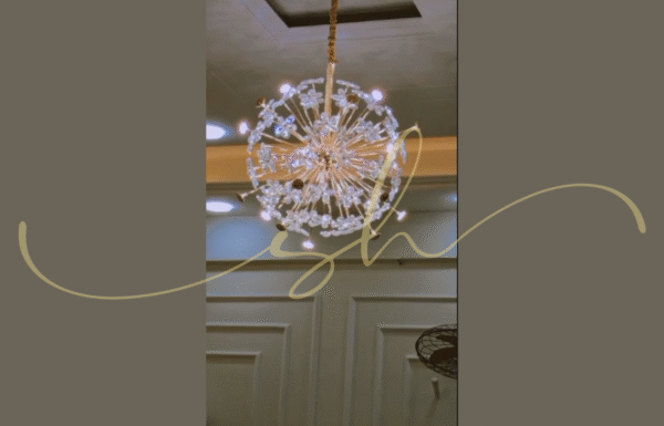 Tasveer Mahal Ballroom Gallery 5