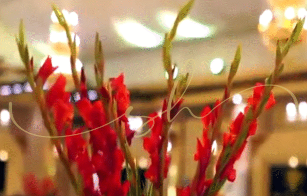 Maqbool Banquet Gallery 4